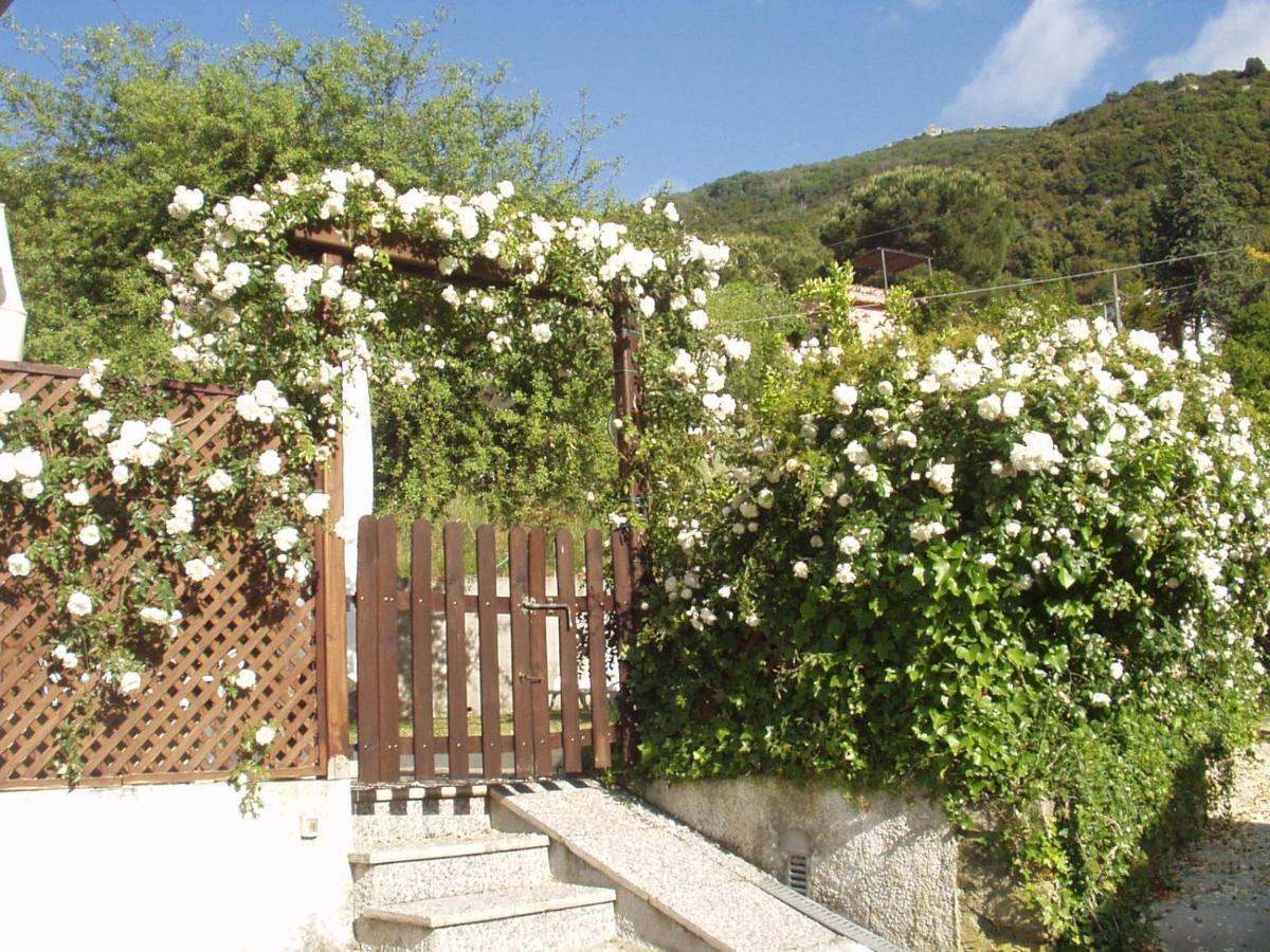 Villa Dei Limoni SantʼAndrea エクステリア 写真