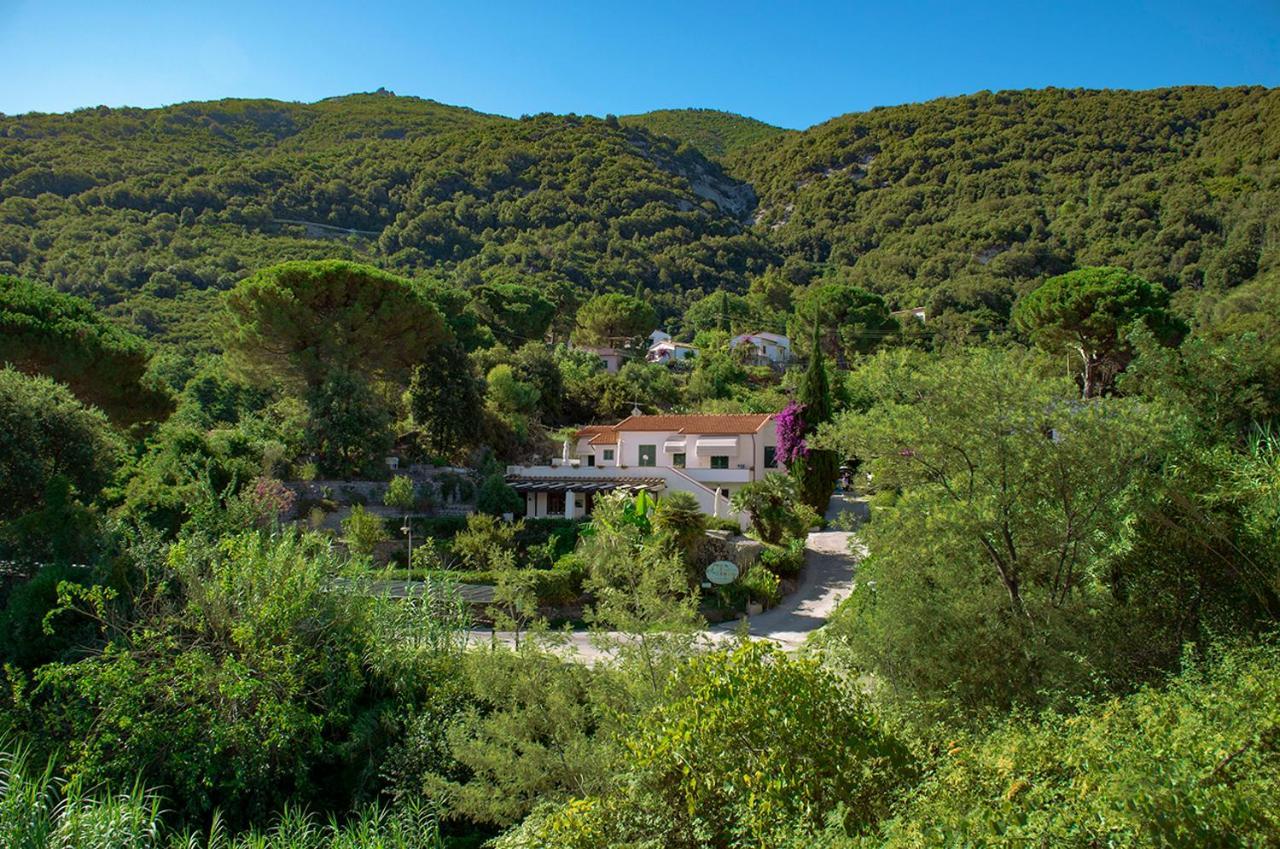 Villa Dei Limoni SantʼAndrea エクステリア 写真