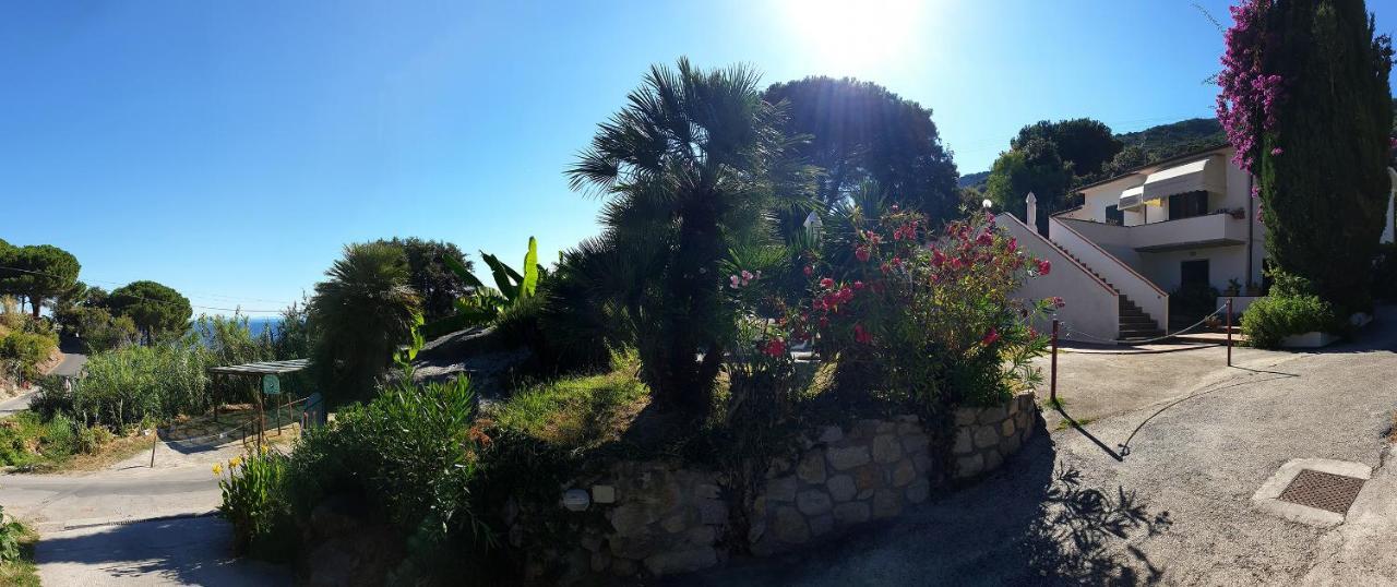 Villa Dei Limoni SantʼAndrea エクステリア 写真